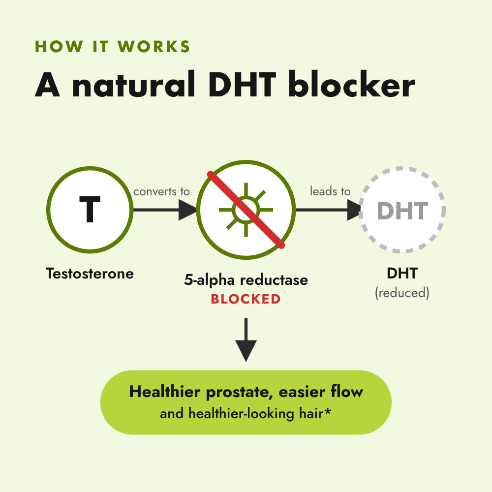 Saw palmetto blocks 5-alpha reductase so less testosterone becomes DHT
